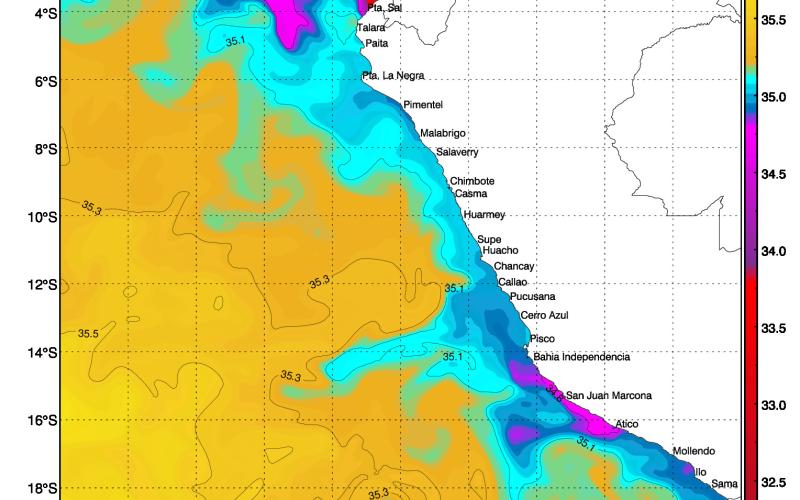 High salinity raises concerns for Peru’s anchovy industry