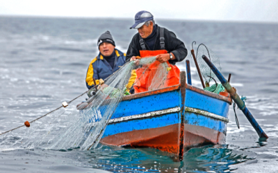 Fishing in Peru: Four Key Changes in Regulation